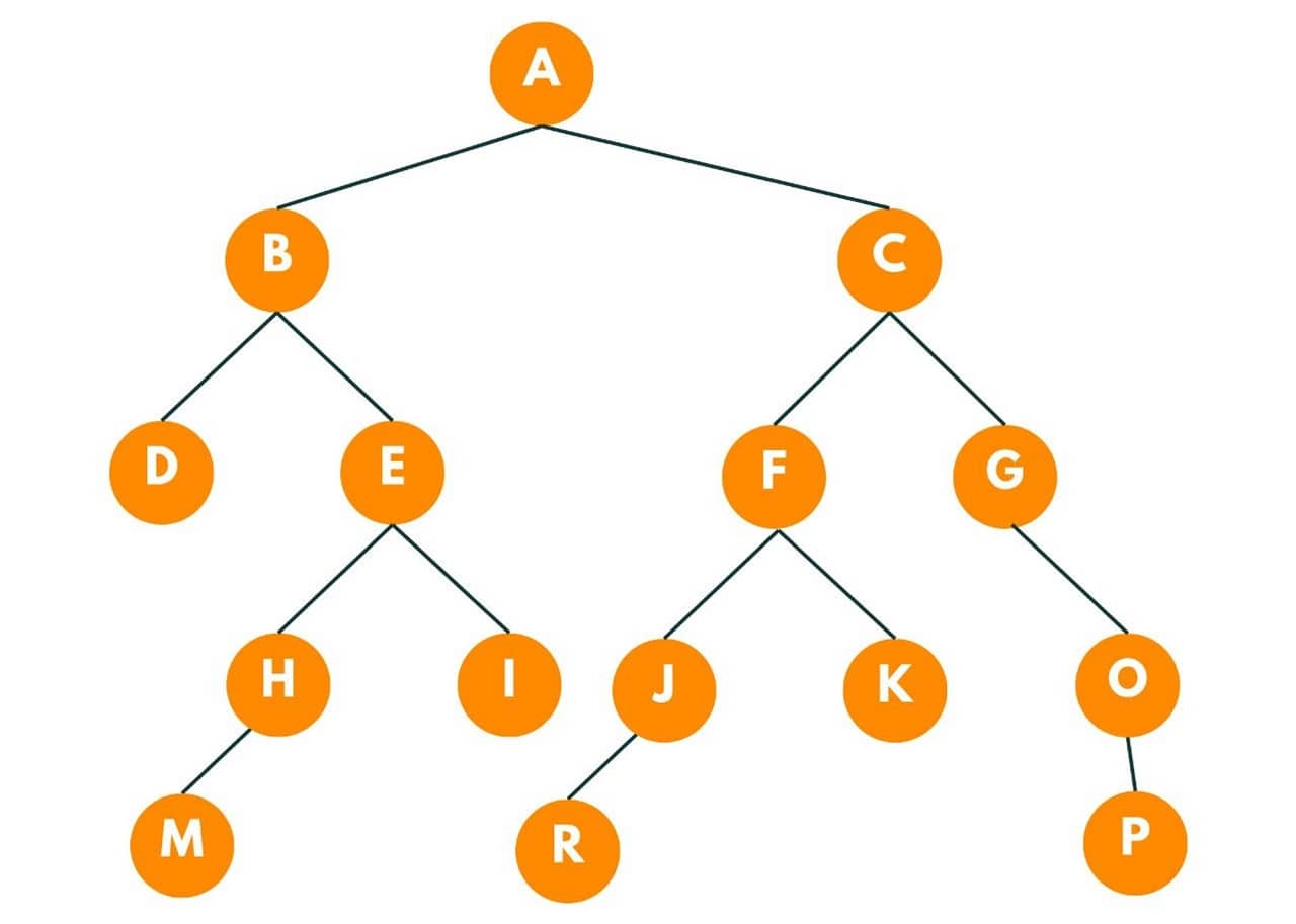 find Lowest common ancestor