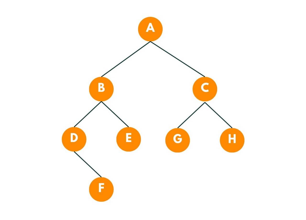 binary tree example